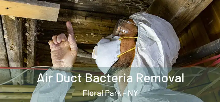 Air Duct Bacteria Removal Floral Park - NY