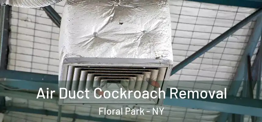  Air Duct Cockroach Removal Floral Park - NY