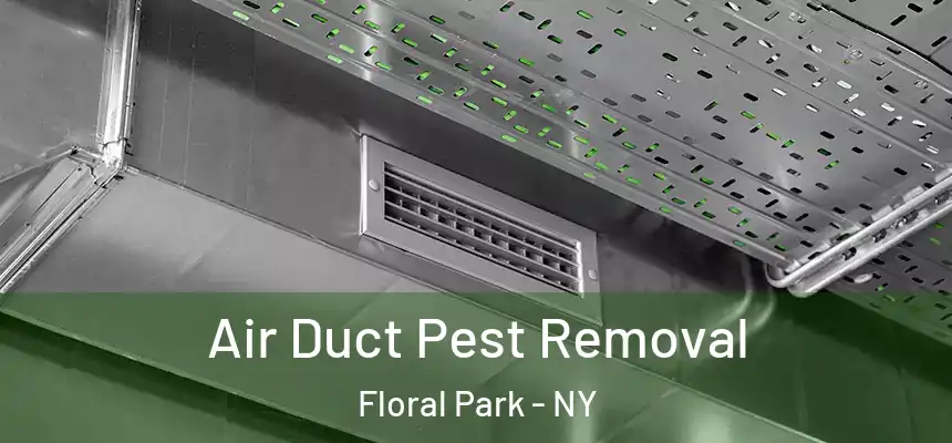  Air Duct Pest Removal Floral Park - NY