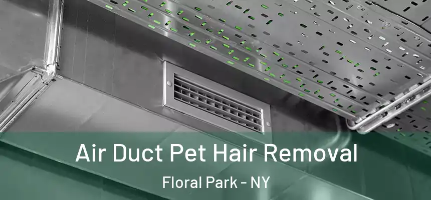  Air Duct Pet Hair Removal Floral Park - NY