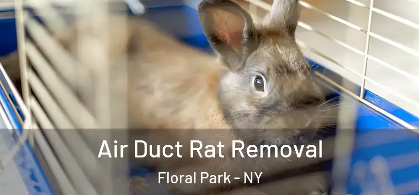 Air Duct Rat Removal Floral Park - NY