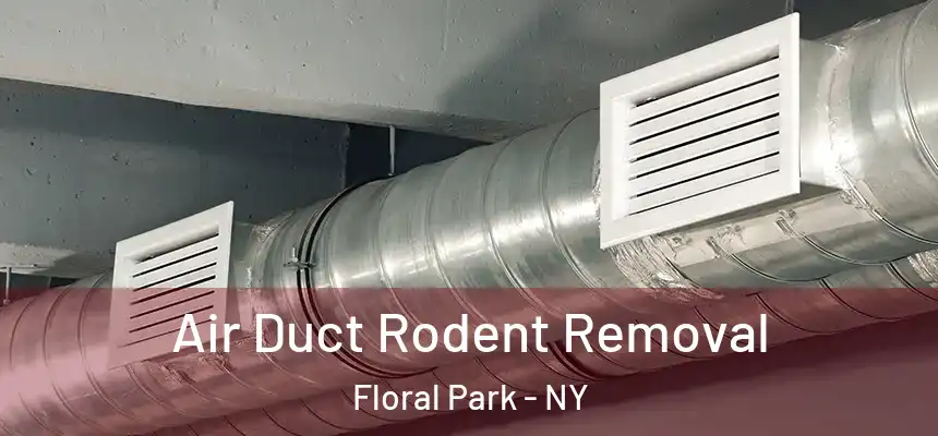 Air Duct Rodent Removal Floral Park - NY