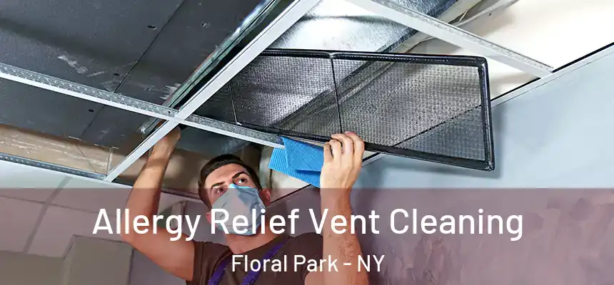Allergy Relief Vent Cleaning Floral Park - NY