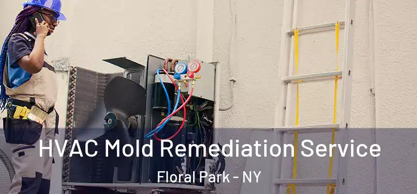 HVAC Mold Remediation Service Floral Park - NY