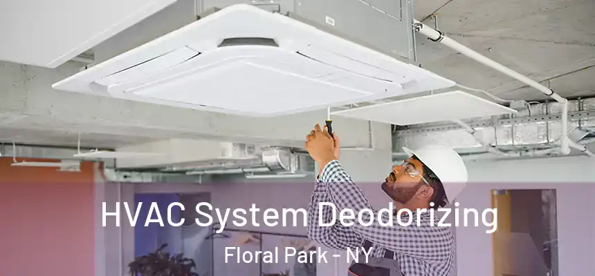 HVAC System Deodorizing Floral Park - NY
