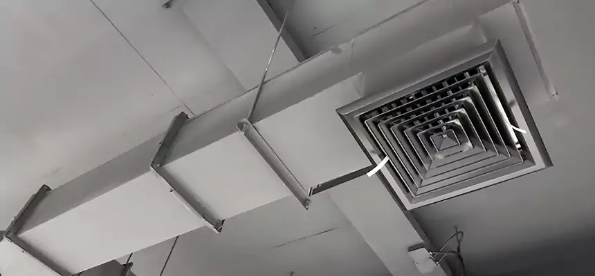 Our Rodent Droppings In Vents Services in Floral Park, NY