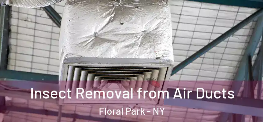  Insect Removal from Air Ducts Floral Park - NY