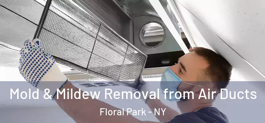 Mold & Mildew Removal from Air Ducts Floral Park - NY