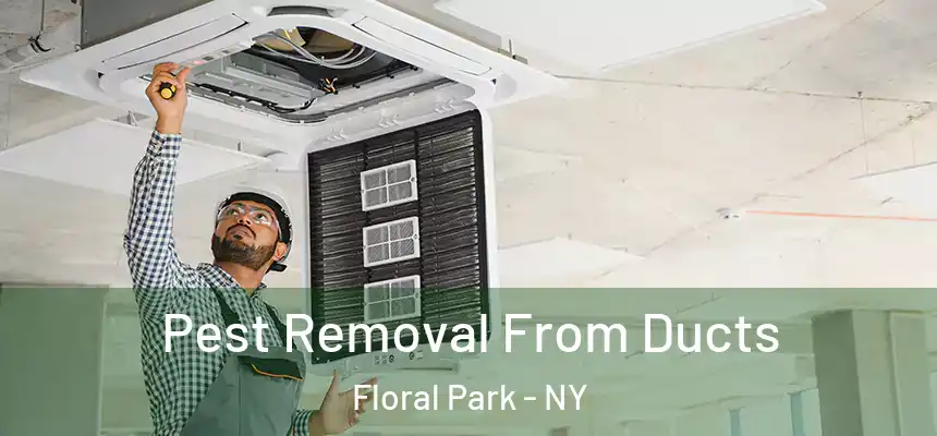 Pest Removal From Ducts Floral Park - NY