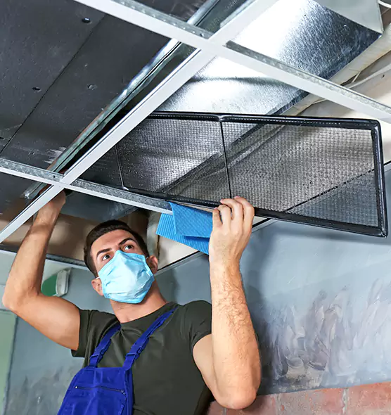 About Air Duct Bacteria Removal in Floral Park
