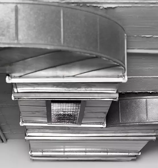 Professional Air Duct Pet Hair Removal in Floral Park, NY