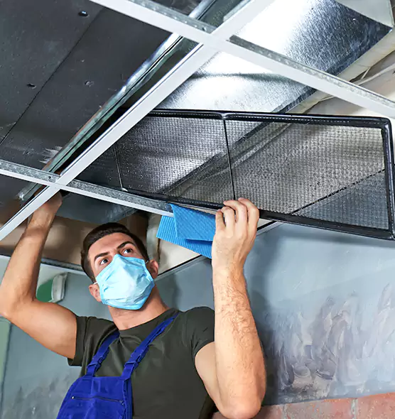 Professional Air Duct Pollen Cleaning in Floral Park, NY
