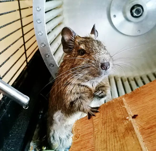 Why Homeowners & Businesses Trust Us Floral Park, NY