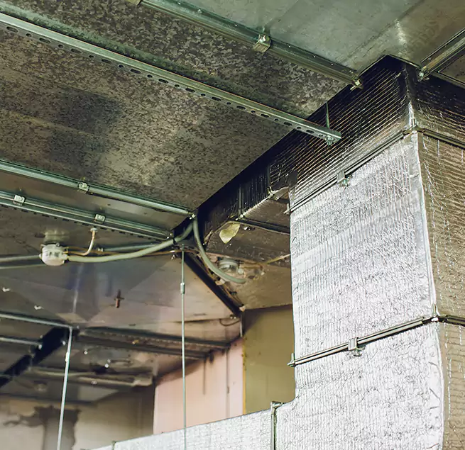 Why Homeowners & Businesses Trust Us in Floral Park, NY?